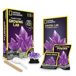 COPY - NEW National Geographic Growing Lab, Purple Crystal Birthday Gift